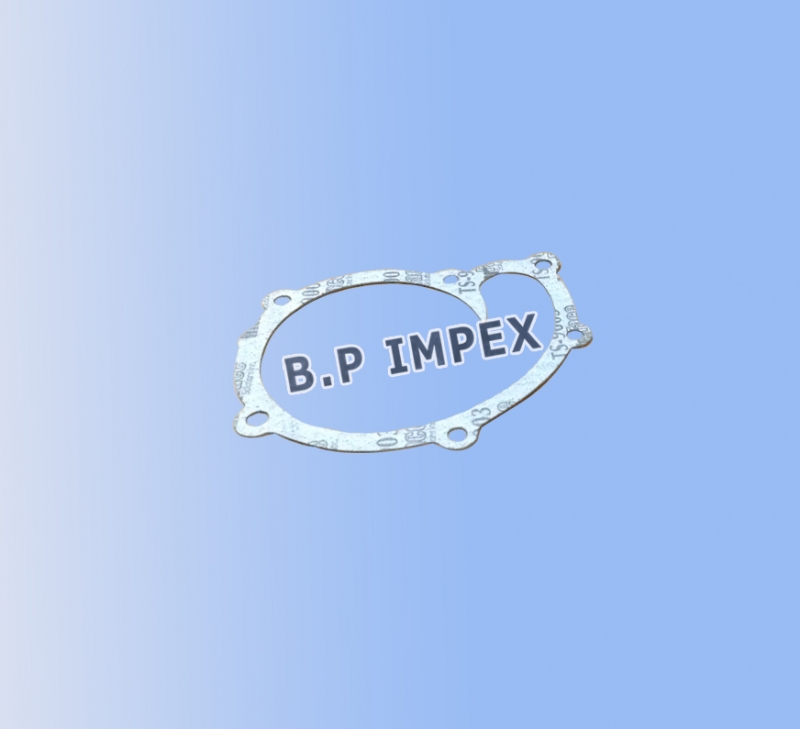 Gasket Water Pump,278920105301